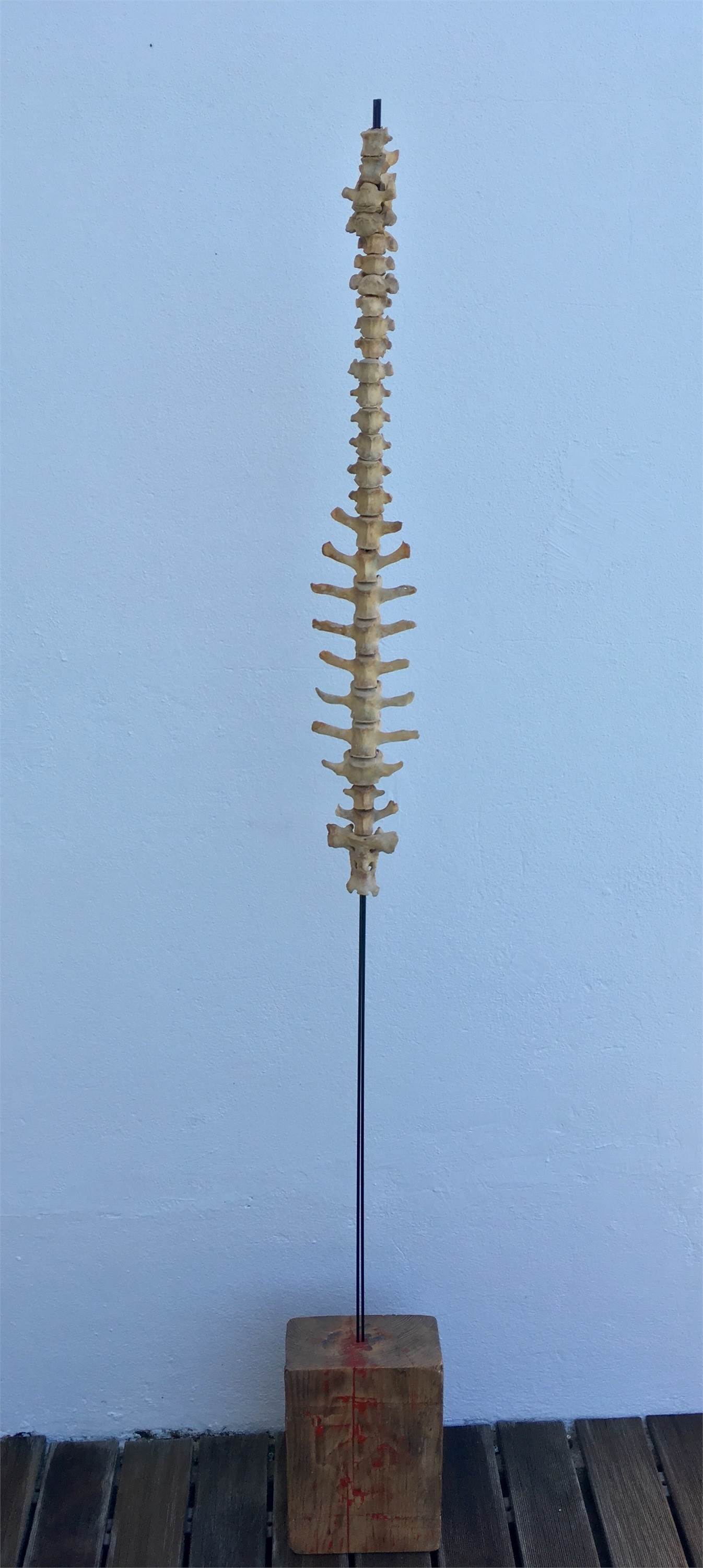 No osso, original Abstrait Technique mixte Sculpture par António  Jorge