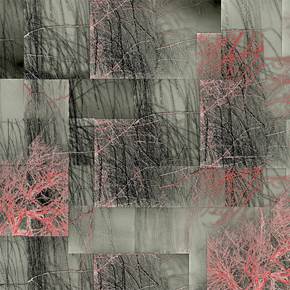 Winter - Weeping Willow Opus 2, Fotografia Digital Natureza original por Shimon and Tammar Rothstein 