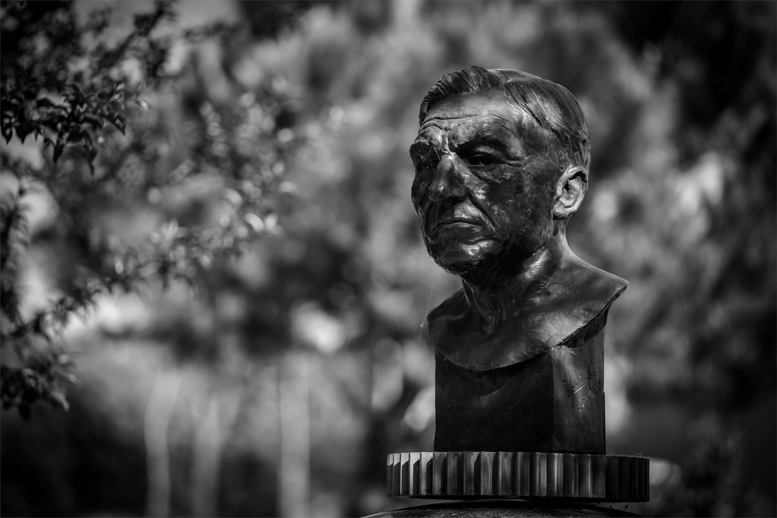 António Gomes do Vale Peixoto (1890-1958), better known as Pachancho, was an industrialist from Braga, known for his innovative and avant-garde spirit, responsible for the creation of the Pachancho Factory in 1920, a precursor in the engine industry in Portugal. The bust, in bronze, was designed by sculptor António Peixoto in 1950, at the request of the workers to present the industrialist in 1953, and the family offered it to the city when the new Pachancho Square was inaugurated in 2015.  It represents the honouree on the cogwheel of an engine, which allows the bust to rotate in all directions. It rests on a cylindrical granite pedestal that contains an inscription.