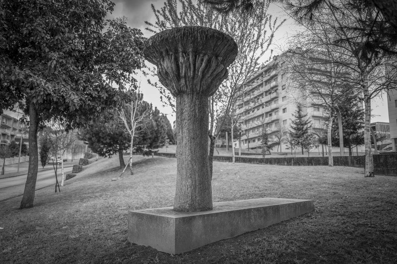 The work is one of four resulting from the 1st dst Sculpture Symposium, promoted by dstgroup. Works by four artists were presented: João Antero, Jorge Pé Curto, Volker Schnüttgen and Victor Ribeiro, being the latter chosen to occupy the public space of the city. Made of grey granite, this tree evokes the beginnings of humanity, knowledge being the path to follow. Structurally, it is characterised by a smooth trunk and a crown with symbolised leaves, branches, and fruit. The base is rectangular and has some reliefs with "fallen leaves".