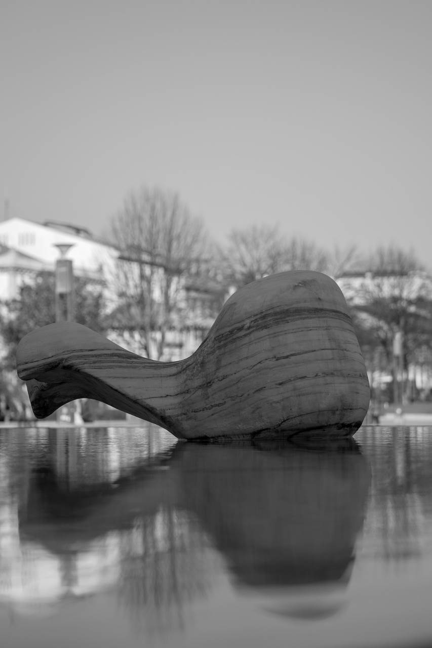Although the author of the work did not give it any name, it is commonly known as "a baleia" (the whale). It is implemented in the fountain of the República Square and is made of marble. The artist gives us a suggested shape with the head and tail fins of the object.
