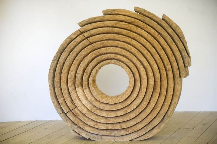 Série Anéis, original Nature Wood Sculpture by Paulo Neves