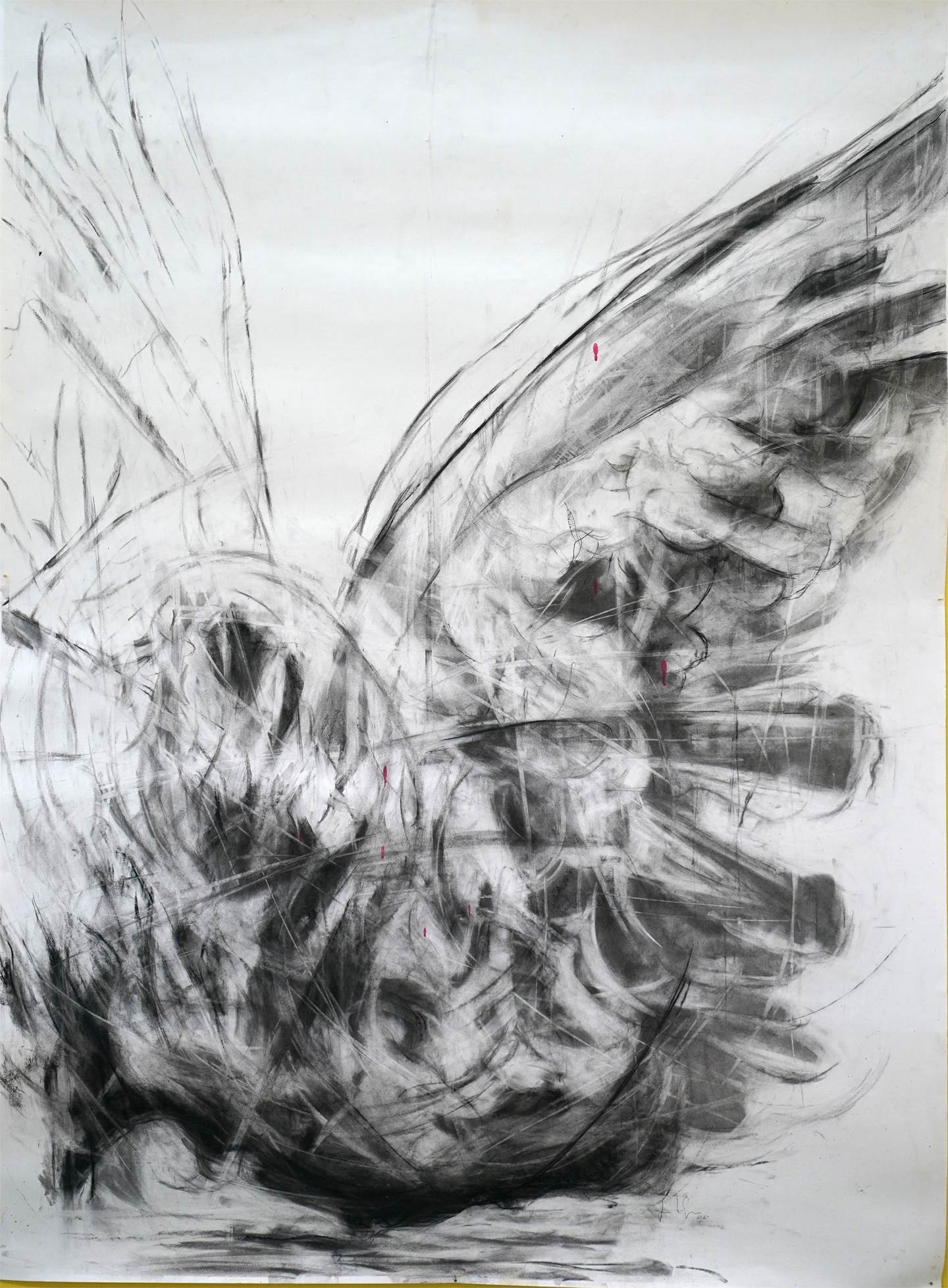 pássaro negro nr.2, original Animals Mixed Technique Drawing and Illustration by Juan Domingues