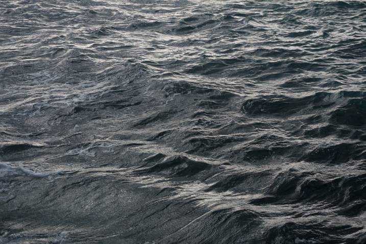 Sea #4, original Naturaleza muerta Digital Fotografía de Liliia Kucher