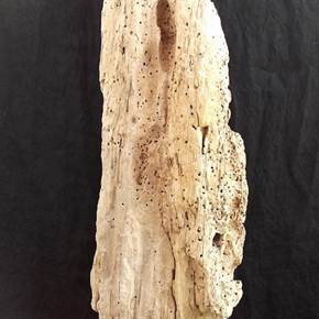 Hipogeu, original Nature Wood Sculpture by Virginia  Pinto