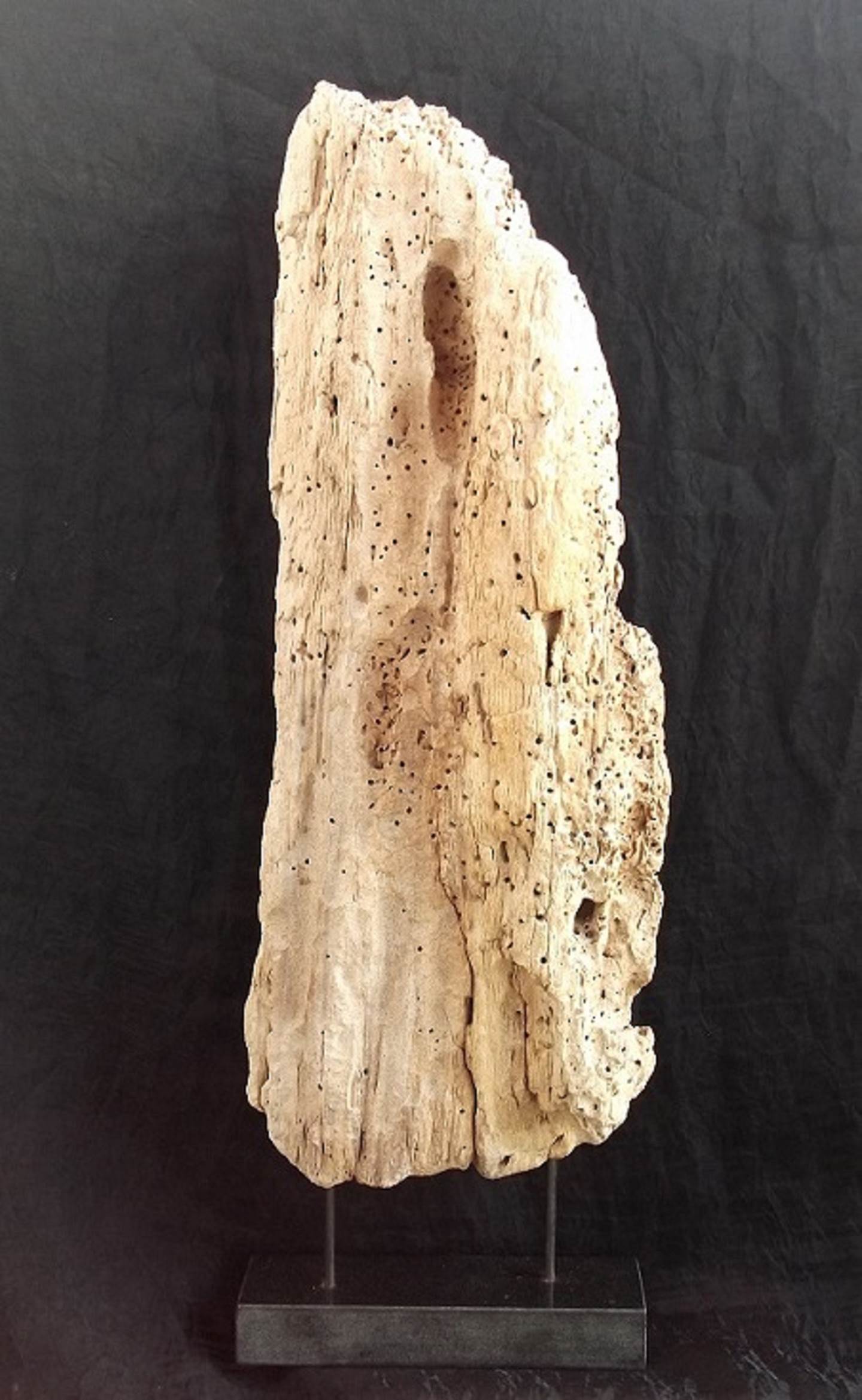 Hipogeu, original Nature Wood Sculpture by Virginia  Pinto