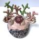 Coral, original Human Figure Ceramic Sculpture by Lorinet Julie