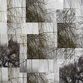 Winter - Weeping Willow Opus 1, original La nature Numérique La photographie par Shimon and Tammar Rothstein 