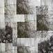 Winter - Weeping Willow Opus 1, Fotografia Digital Natureza original por Shimon and Tammar Rothstein 