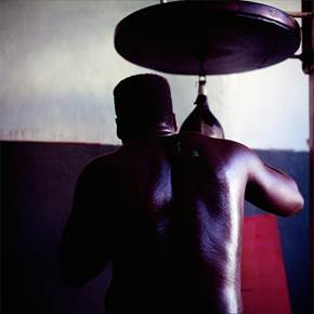 Cabeça quadrada punching ball, original Still Life Digital Photography by Miguel Rio Branco
