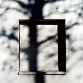 Untitled, original Still Life Digital Photography by David Salcedo
