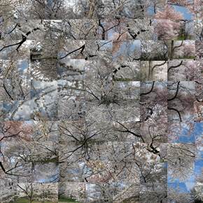 Spring - A stroll In the Park, original La nature Numérique La photographie par Shimon and Tammar Rothstein 