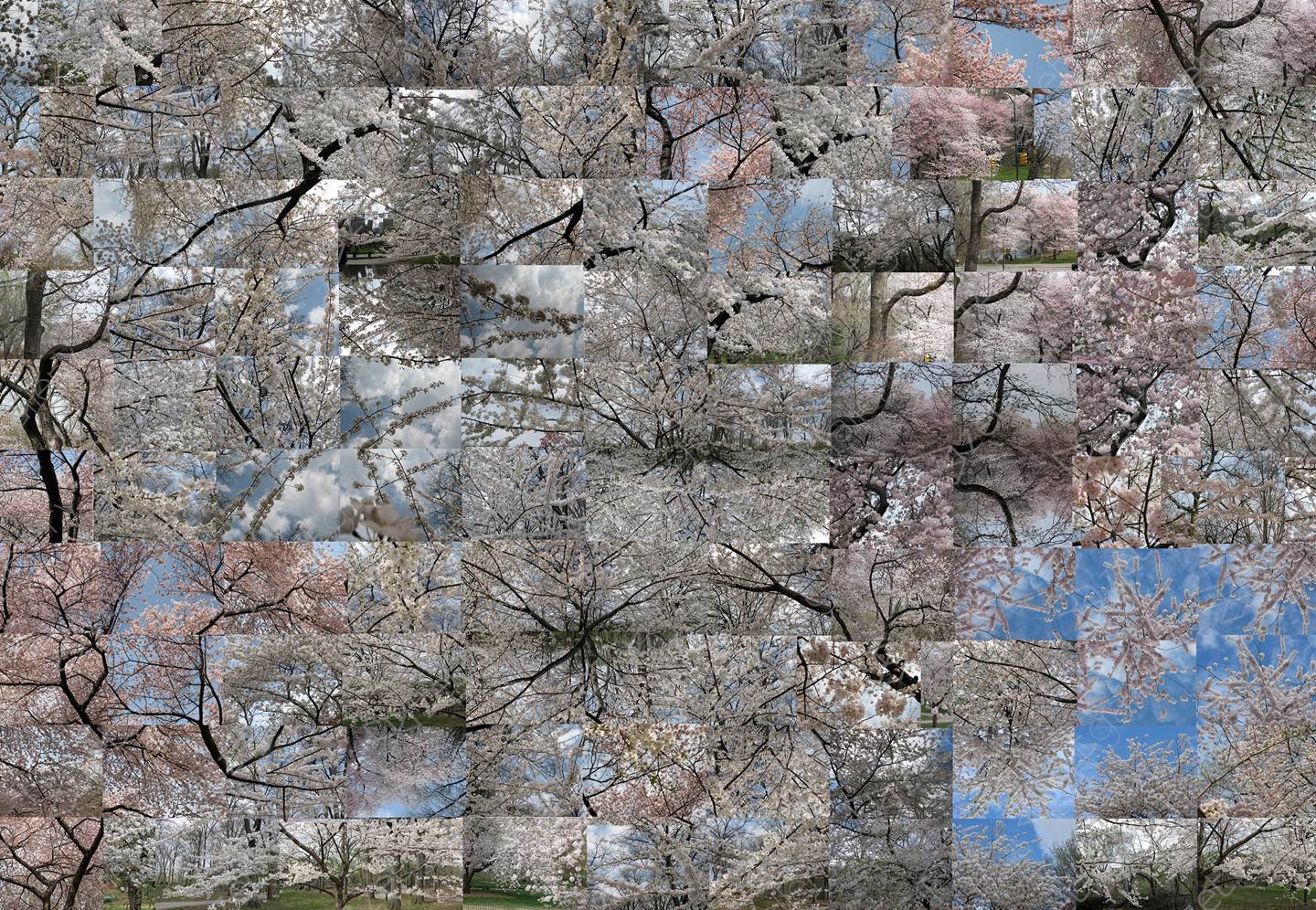 Spring - A stroll In the Park, original Nature Digital Photography by Shimon and Tammar Rothstein 