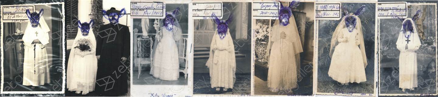 Totem / Extra Virgens I, original Animals Analog Photography by Diogo  Goes