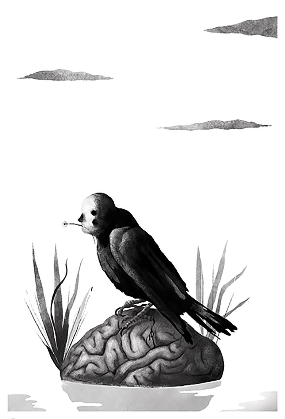 Sem título, original   Dessin et illustration par Sebastião Peixoto