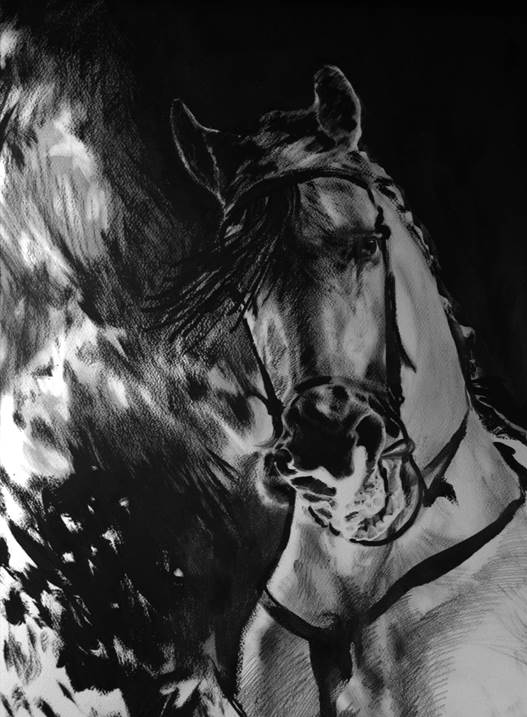 Fire Horse I, original Animals Mixed Technique Painting by BeckenFilipe .