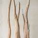 Rebentos, original Nature Wood Sculpture by Paulo Neves