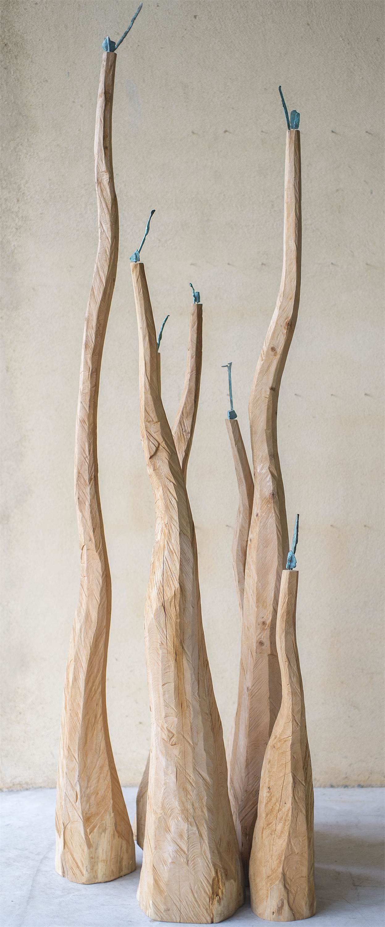 Rebentos, original Nature Wood Sculpture by Paulo Neves