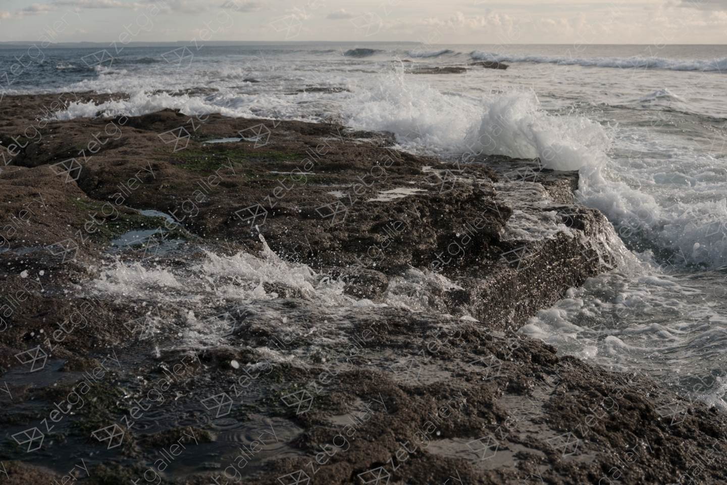 Sea #6, original Naturaleza muerta Digital Fotografía de Liliia Kucher