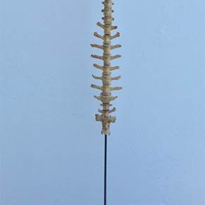 No osso, original Abstrait Technique mixte Sculpture par António  Jorge