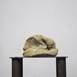 No Title_ , original Resumen Arcilla Escultura de Joana Lapin