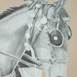 A horse with no name, original Animals Acrylic Painting by Marisa  Piló