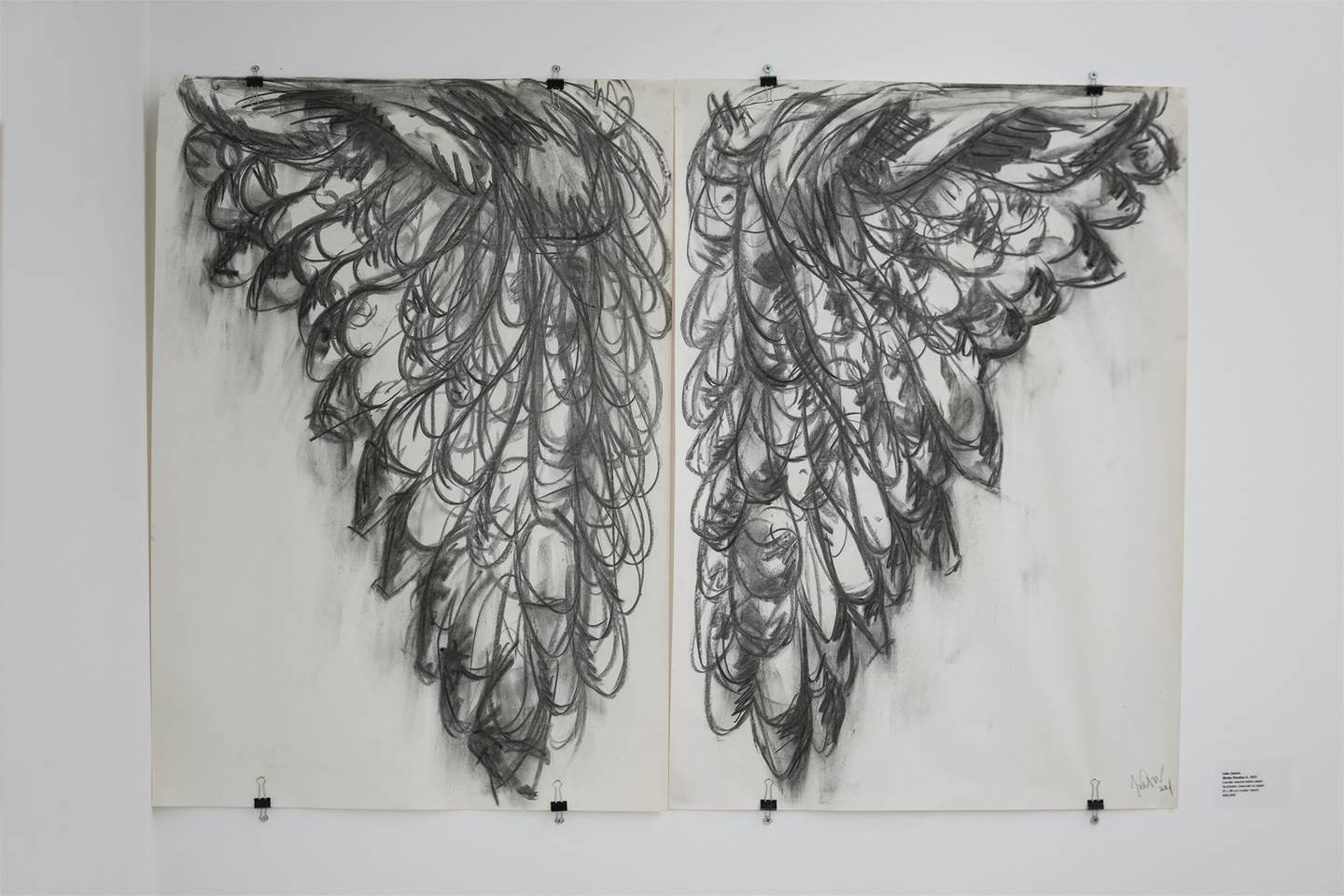 Birdie Studies II, original Abstrait charbon Dessin et illustration par Inês  Osório 