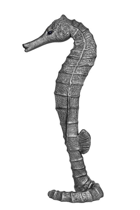Cavalo Marinho, original Animaux Technique mixte Sculpture par Pedro Figueiredo