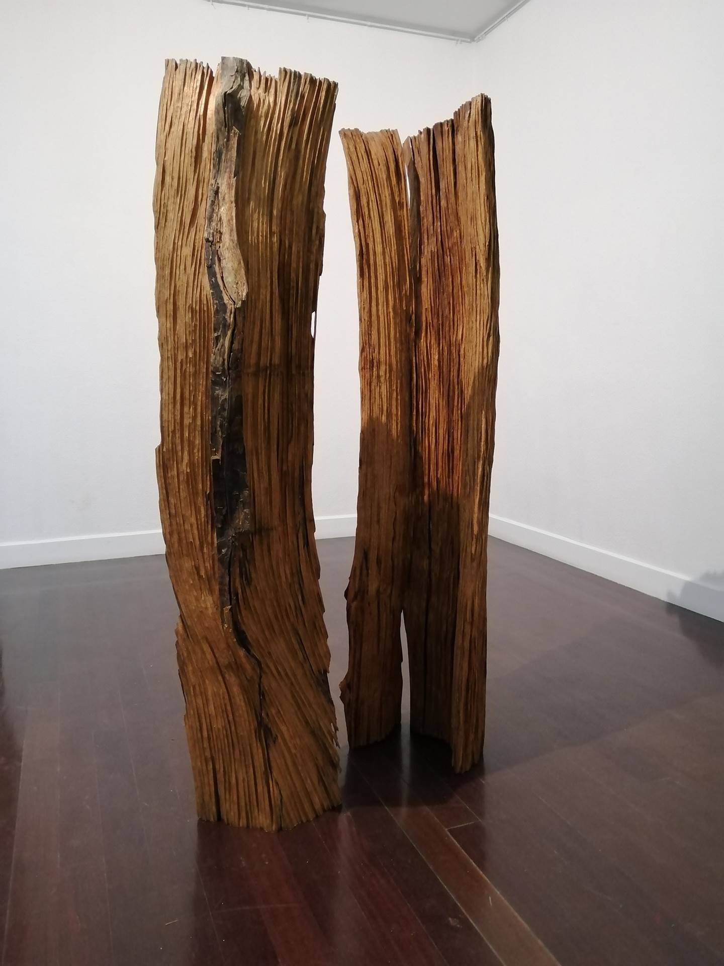O Bosque (Dois em um), original   Sculpture by Volker Schnüttgen
