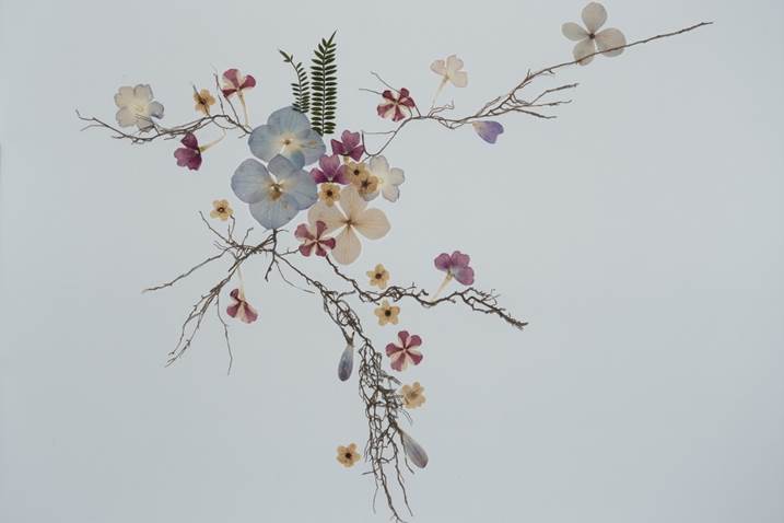 Flower arrangement #1, original Nature morte Numérique La photographie par Liliia Kucher