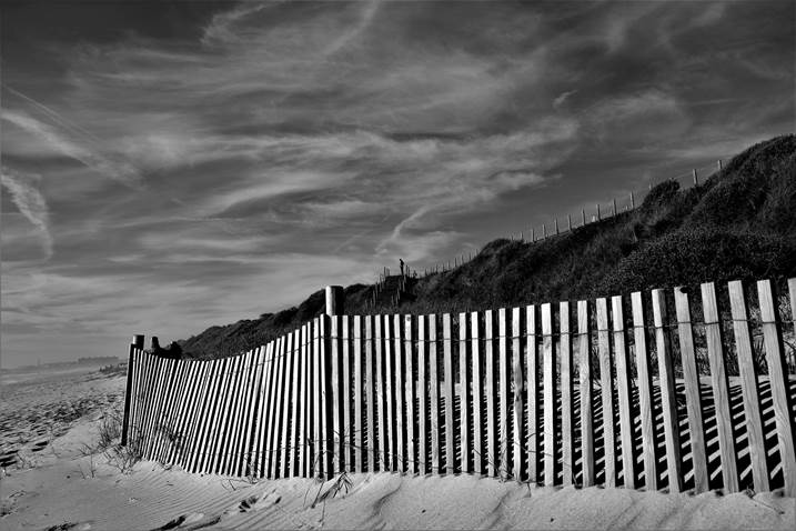 The fence, original B&W Analog Photography by Eduardo Rosas