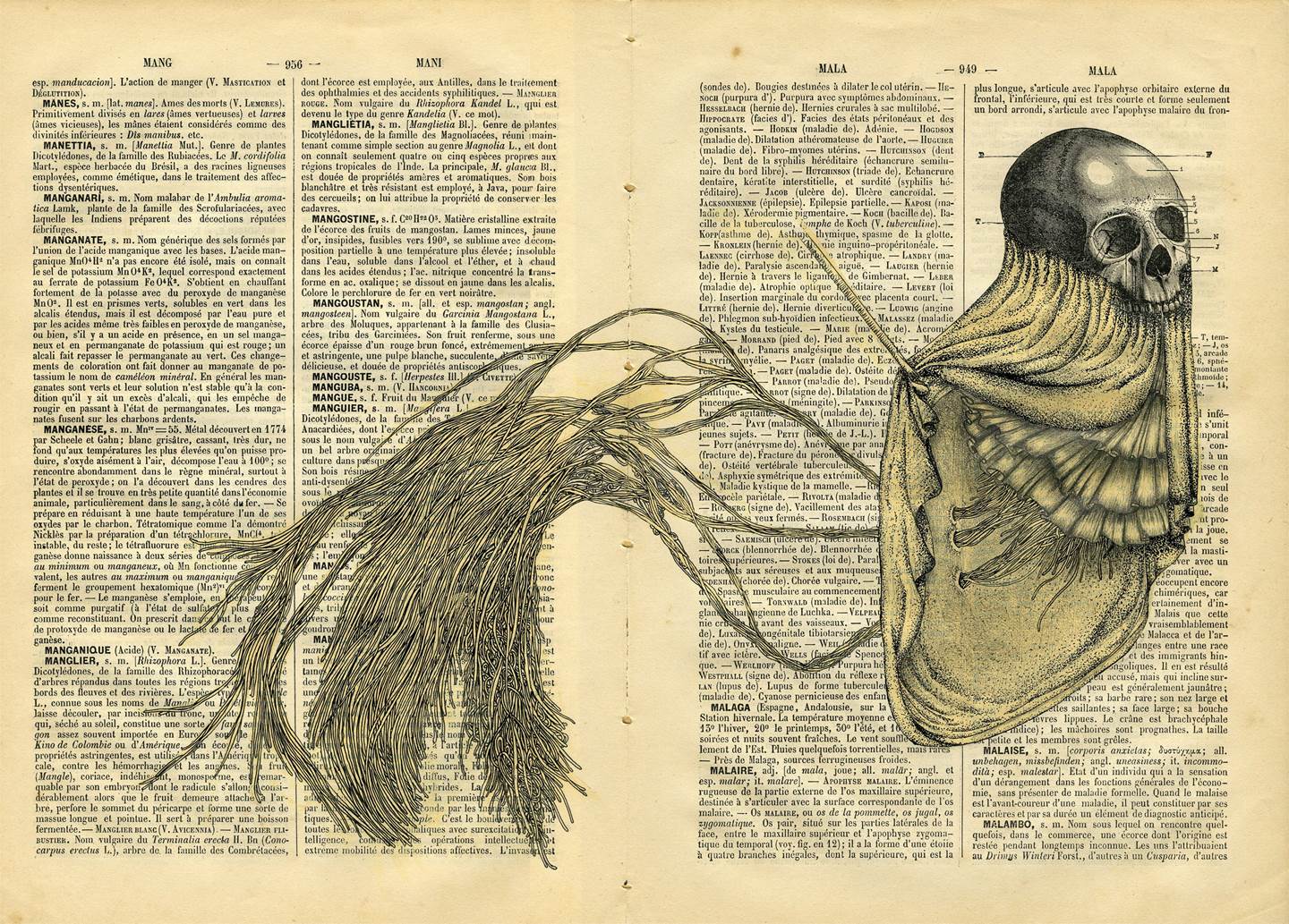 M.A.L.A., Desenho e Ilustração  Corpo original por Lucy Valente Pereira