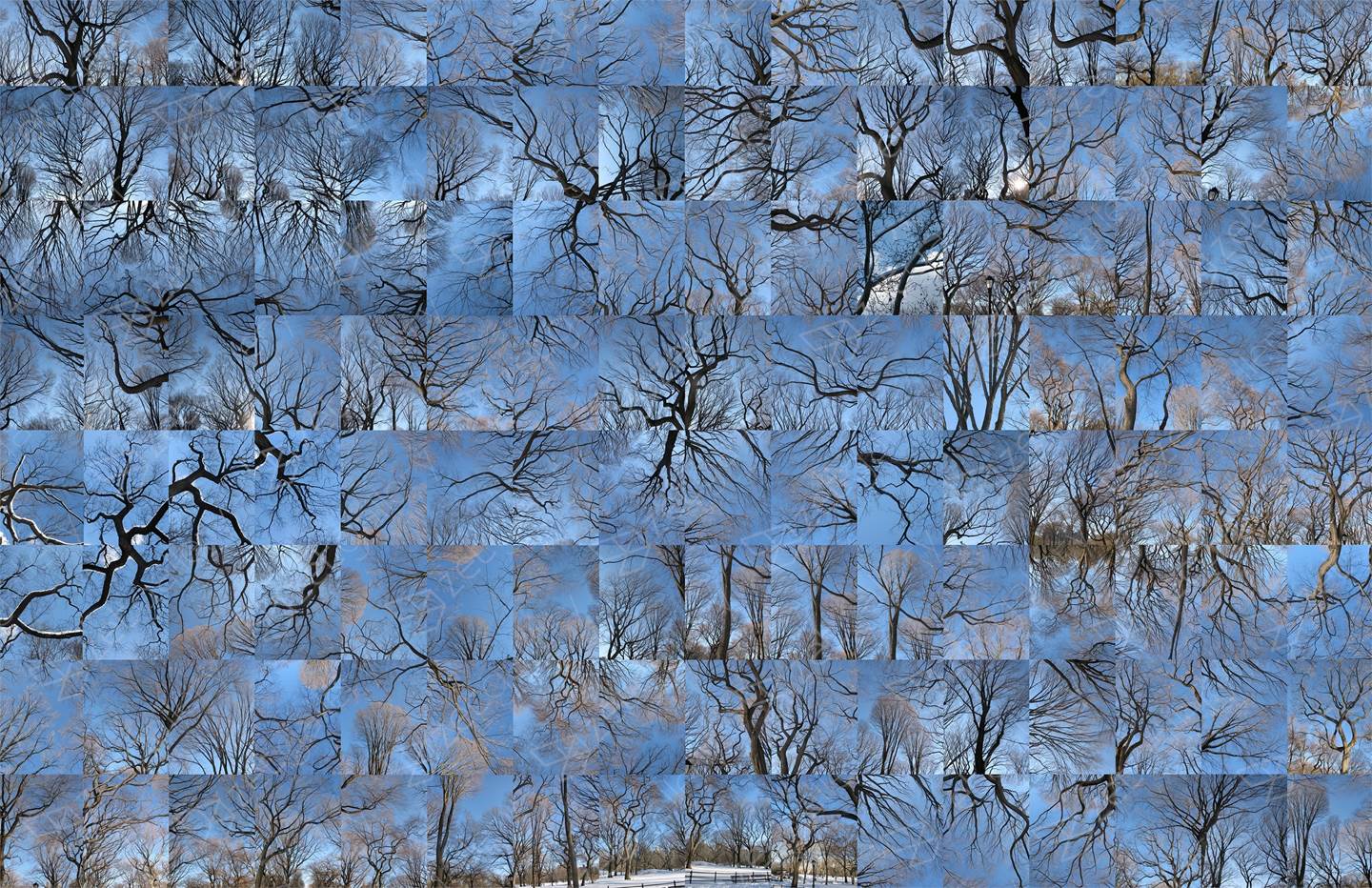 Winter - Sunny Snow Day Opus 1, original Naturaleza Digital Fotografía de Shimon and Tammar Rothstein 