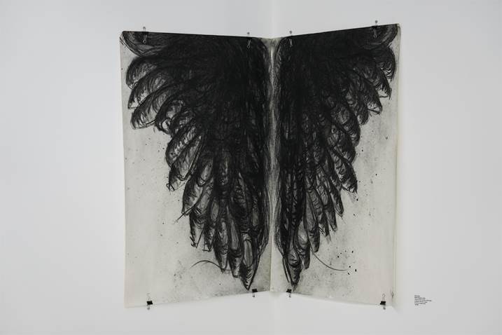 Birdie Studies III, original Portrait charbon Dessin et illustration par Inês  Osório 
