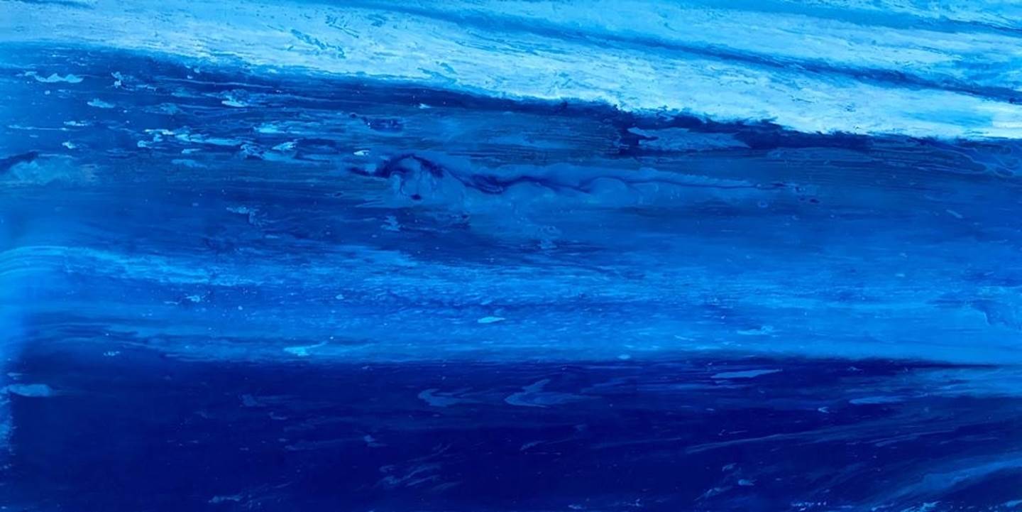 Oceano Pacífico, original Animaux Technique mixte La peinture par Catarina Machado