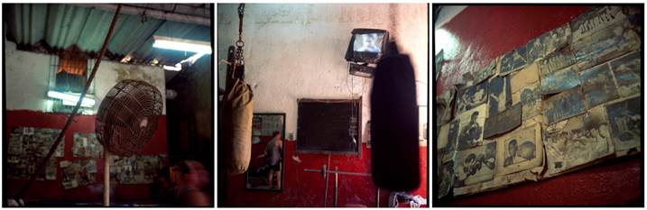 Maua Santa Rosa, original Still Life Digital Photography by Miguel Rio Branco