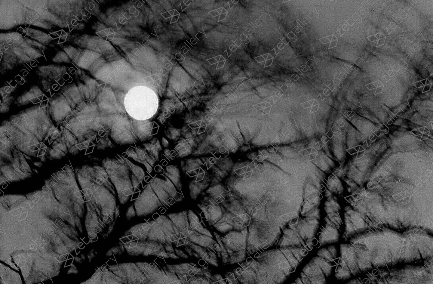 Full-Moon-Night, original B&N Cosa análoga Fotografía de Heinz Baade