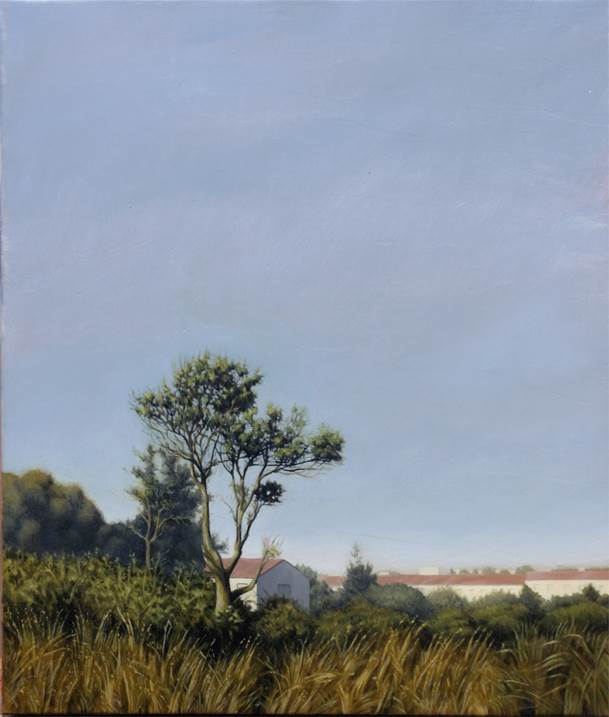 CT(9), original Landscape Canvas Painting by Alexandre Coxo
