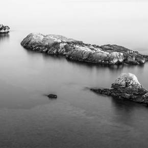 BIRD ON A ROCK II, Small Edition 1 of 15, original Abstract Digital Photography by Benjamin Lurie