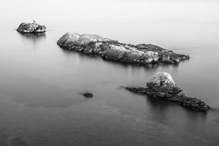 BIRD ON A ROCK II, Small Edition 1 of 15, original Abstract Digital Photography by Benjamin Lurie