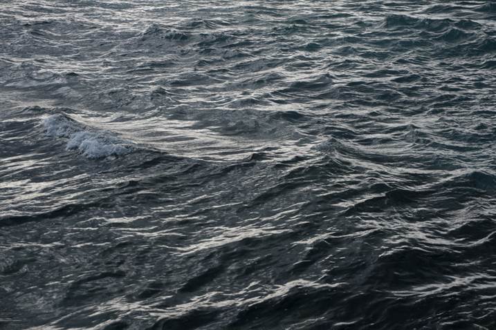Sea #3, original Still Life Digital Photography by Liliia Kucher