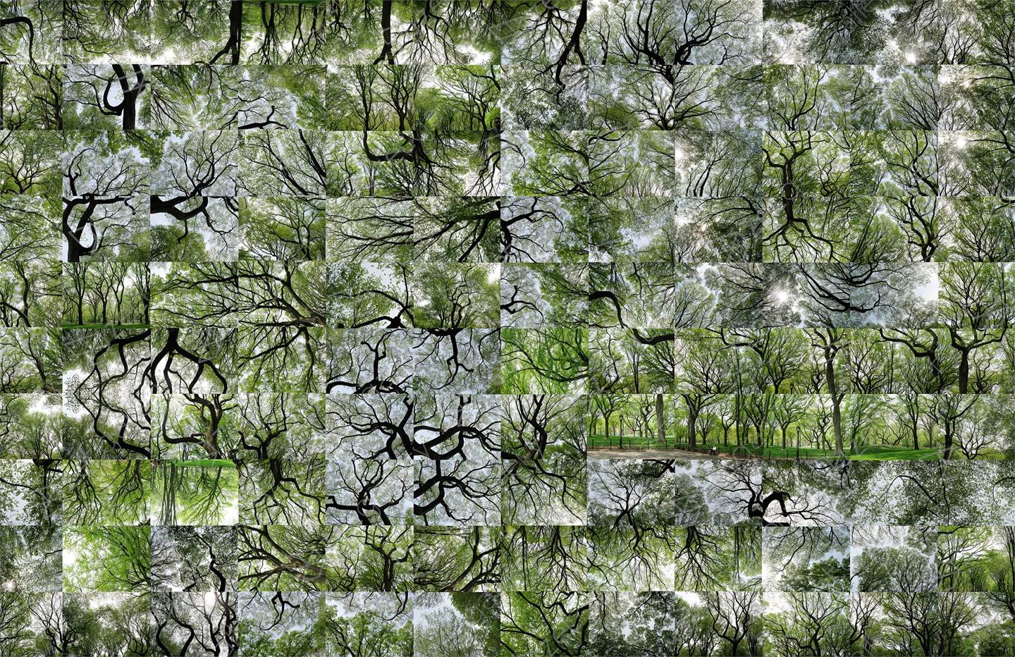 Summer - Deep Green , original Naturaleza Digital Fotografía de Shimon and Tammar Rothstein 