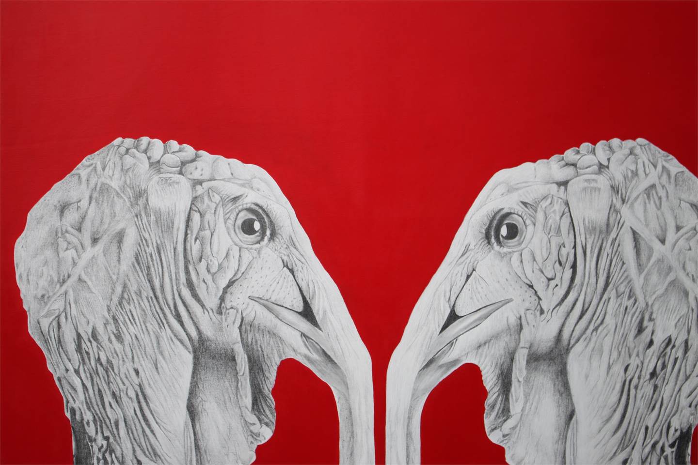See me Red, original Animals Acrylic Drawing and Illustration by Marisa  Piló
