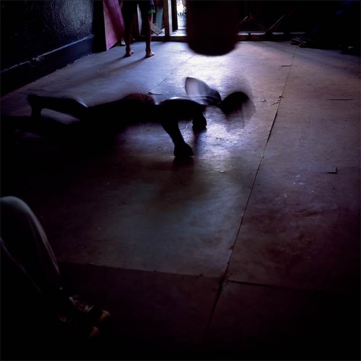 Insect, Fotografia Digital Natureza Morta original por Miguel Rio Branco