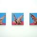 Fighting Doves (triptych), original Paysage Pétrole La peinture par Juan Domingues