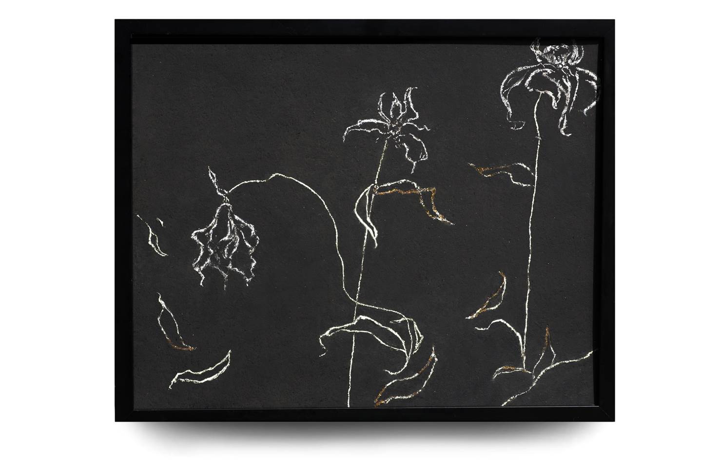 Decaying Flowers, original Portrait Acrylique La peinture par Giada Rotundo