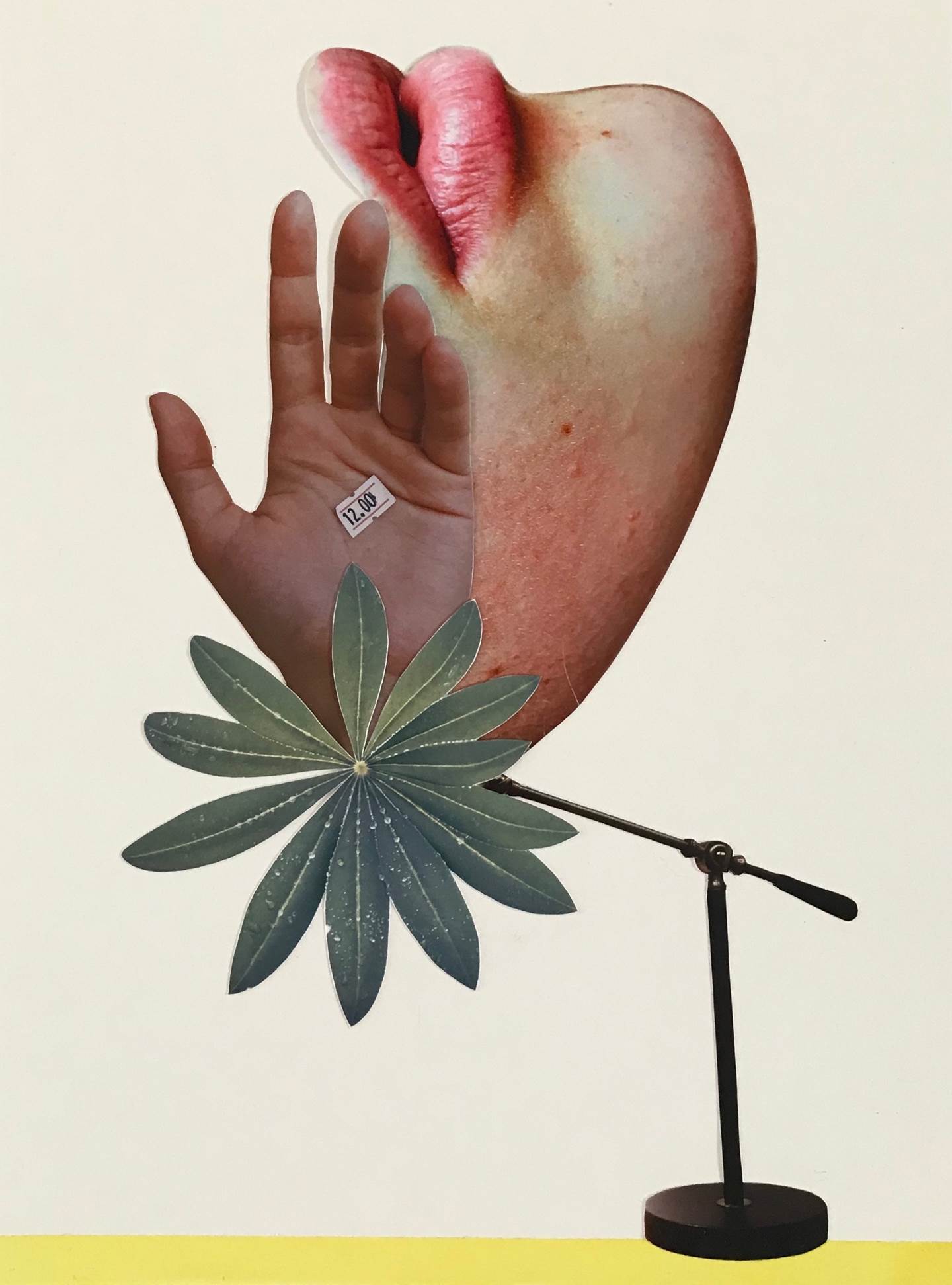 Luz Verde, 2018, original Minimalist Collage Drawing and Illustration by Mariana Bastos