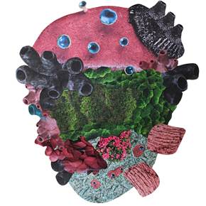 Ilha I, original Still Life Digital Photography by Liliana Velho