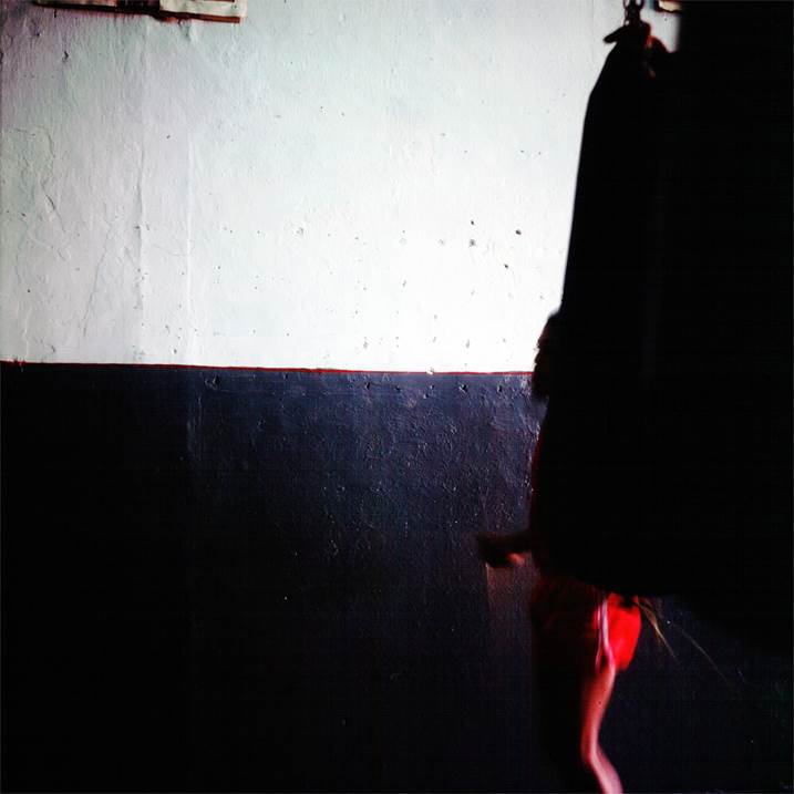 Sombra, cinza e branco, Fotografia Digital Natureza Morta original por Miguel Rio Branco