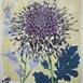 Purple Chrysanthemum, original Big Mixed Technique Painting by Clara Martins